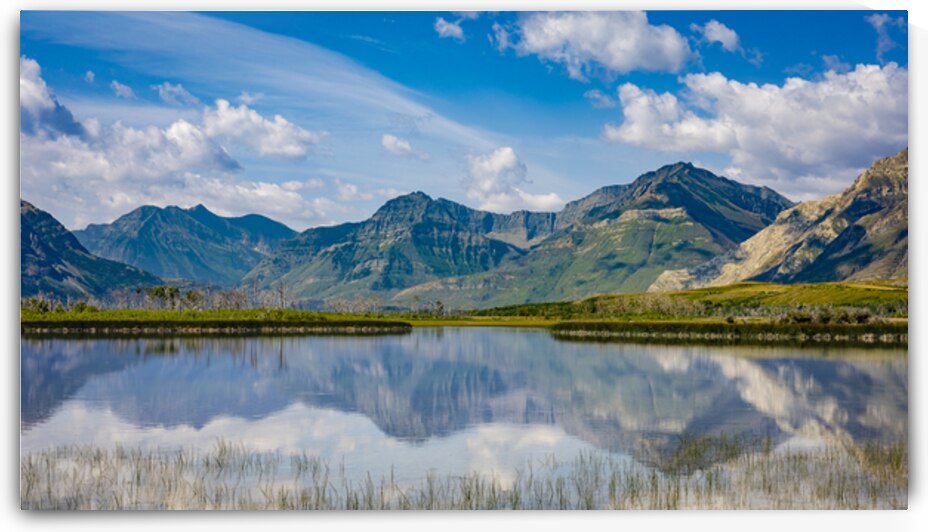 At the Base of the Rockies by Marc Gilbert Photography