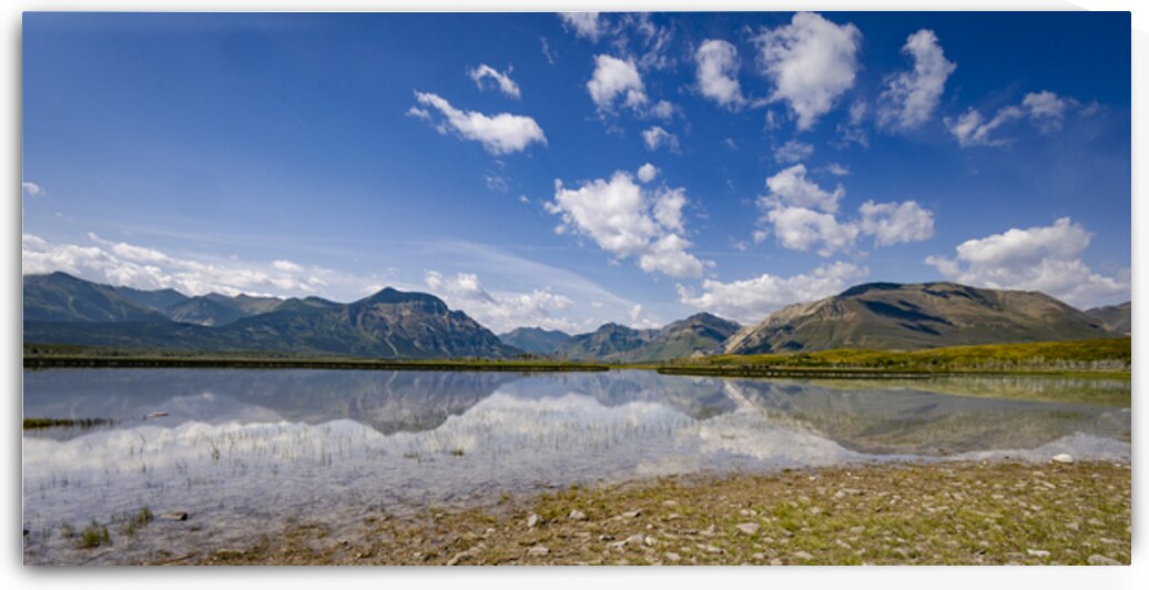 At the Base of the Rockies by Marc Gilbert Photography