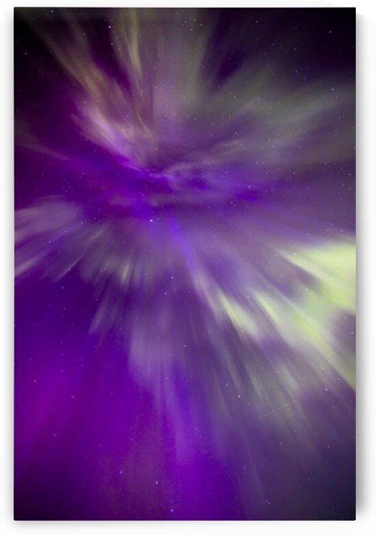 Night Bloom by Marc Gilbert Photography