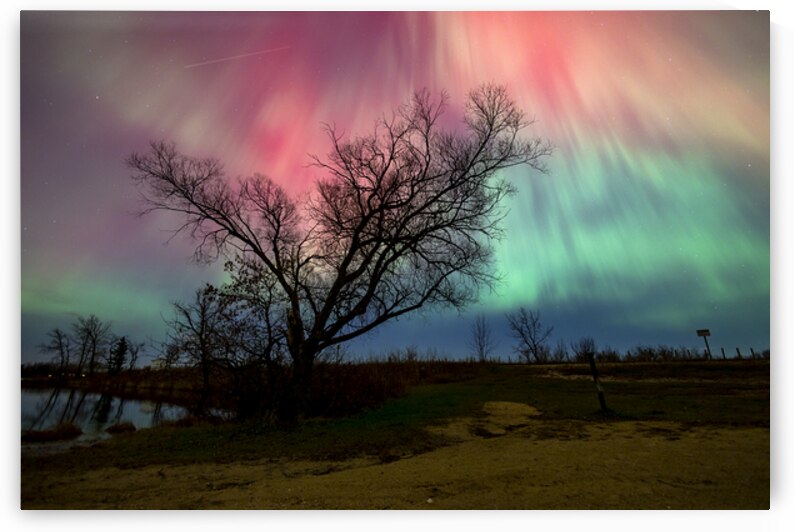 Under Heavens Blessing by Marc Gilbert Photography