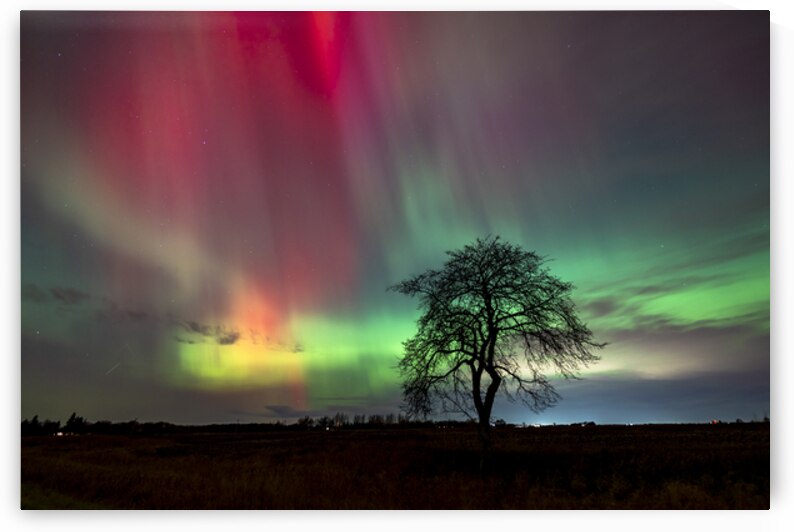 Aurora Dance by Marc Gilbert Photography