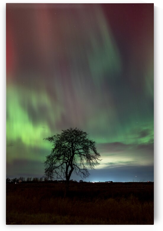 Northern Lights Dance by Marc Gilbert Photography