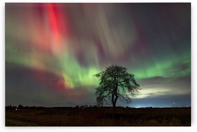 Northern Lights Dance by Marc Gilbert Photography