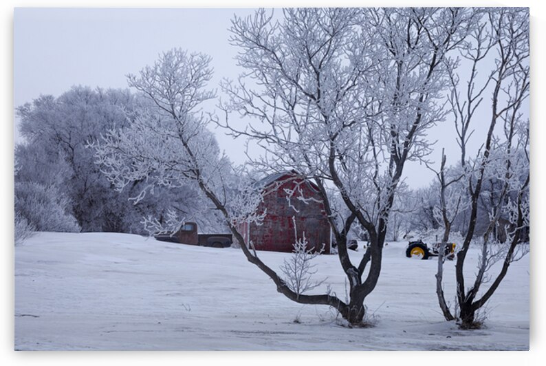 Hoarfrost Morning Over a Red Barn by Marc Gilbert Photography