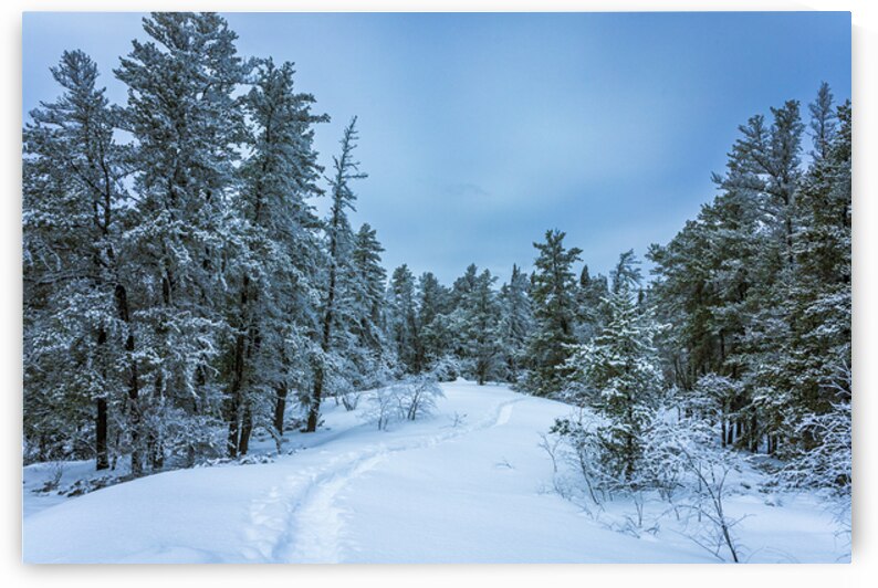 Winter on Hanson Creek Trail by Marc Gilbert Photography
