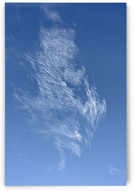 Sky Wing by Marc Gilbert Photography