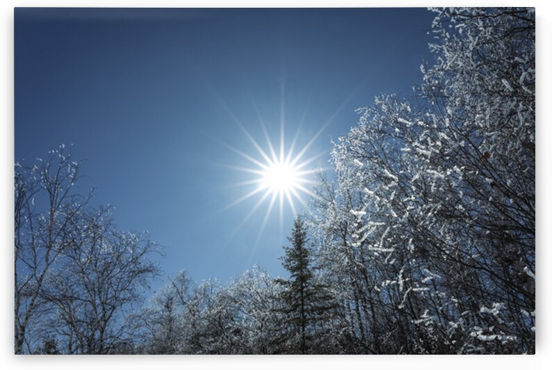 Winter Sunburst by Marc Gilbert Photography