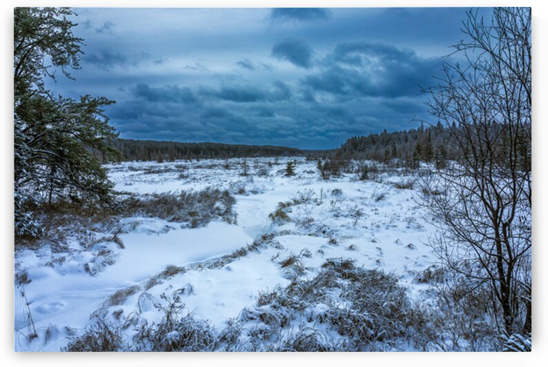 Winter Quietude by Marc Gilbert Photography