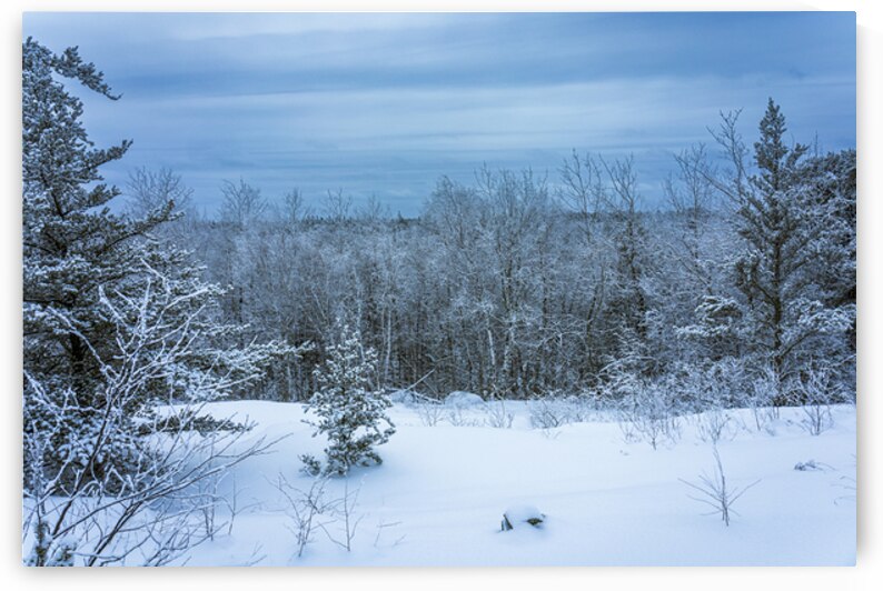 Whiteshell Winter Calm by Marc Gilbert Photography