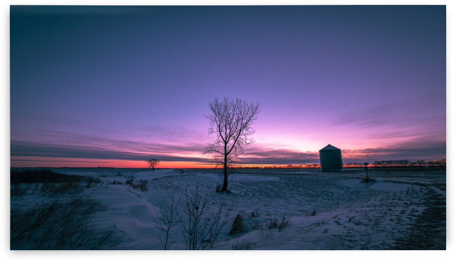 Lone Trees and Grain Bin by Marc Gilbert Photography