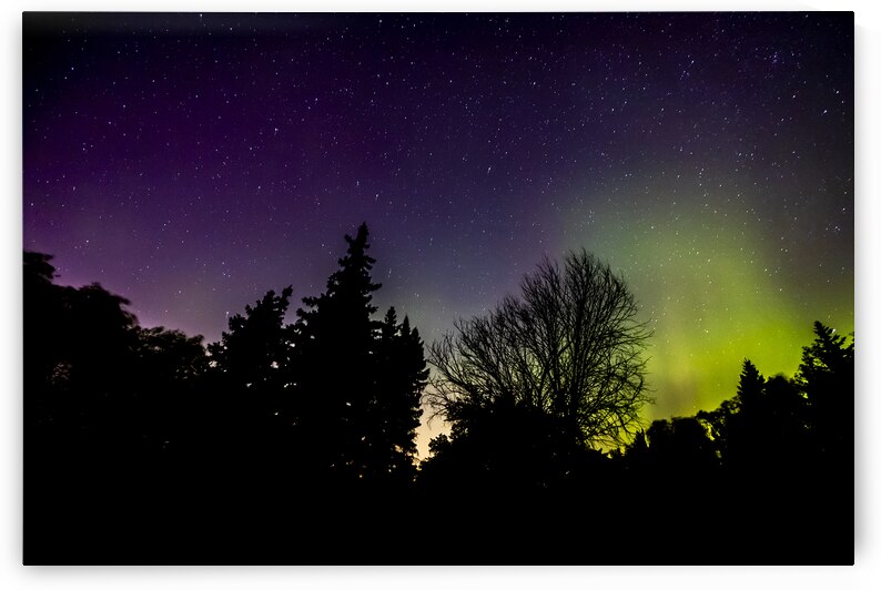 Aurora In the Woods by Marc Gilbert Photography