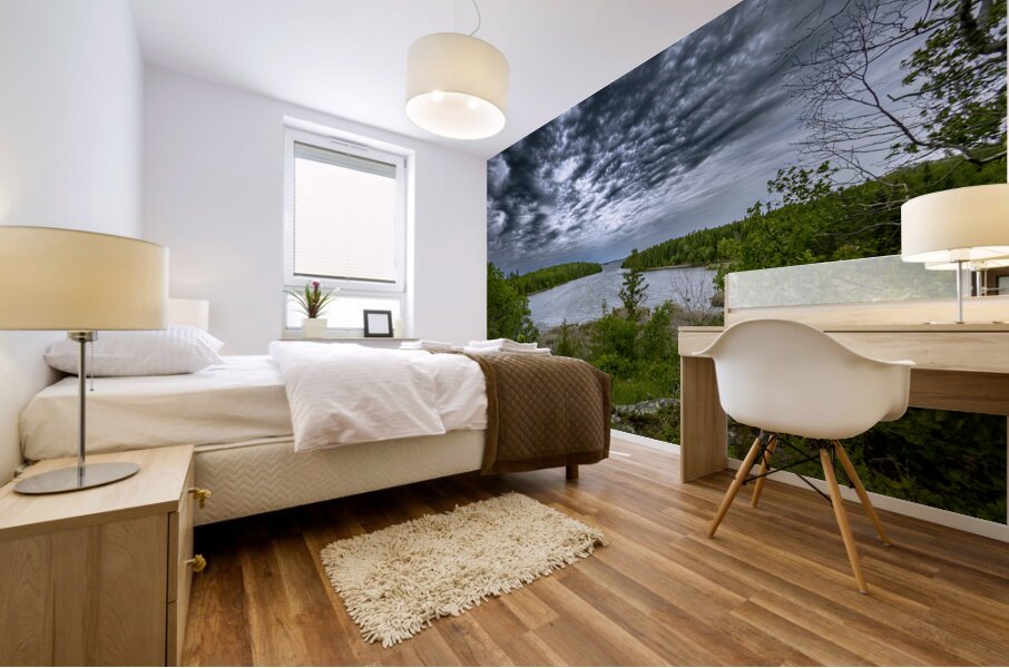 Shoal Lake View Mural print