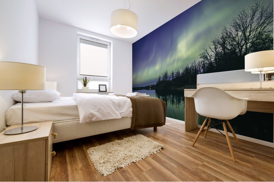Northern Lights Over the Lake Mural print