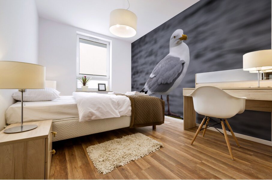 Gull Mural print