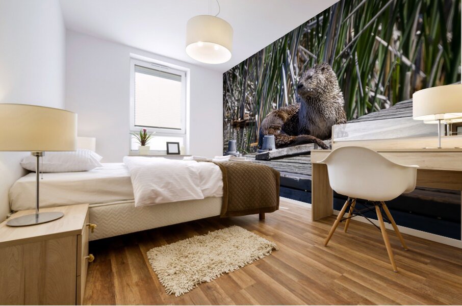 Otter Mural print