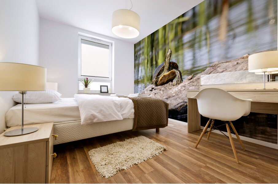 Painted Turtle Mural print