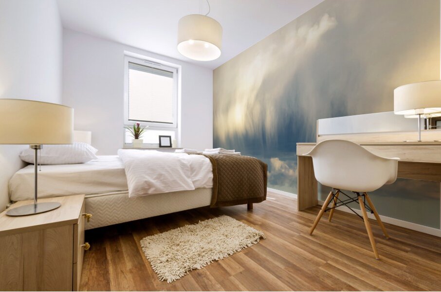 Rain Cloud Mural print