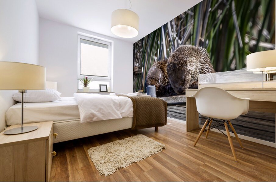 Otter Mural print