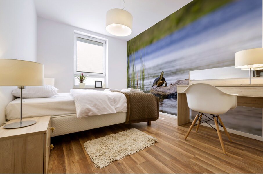 Painted Turtle Mural print