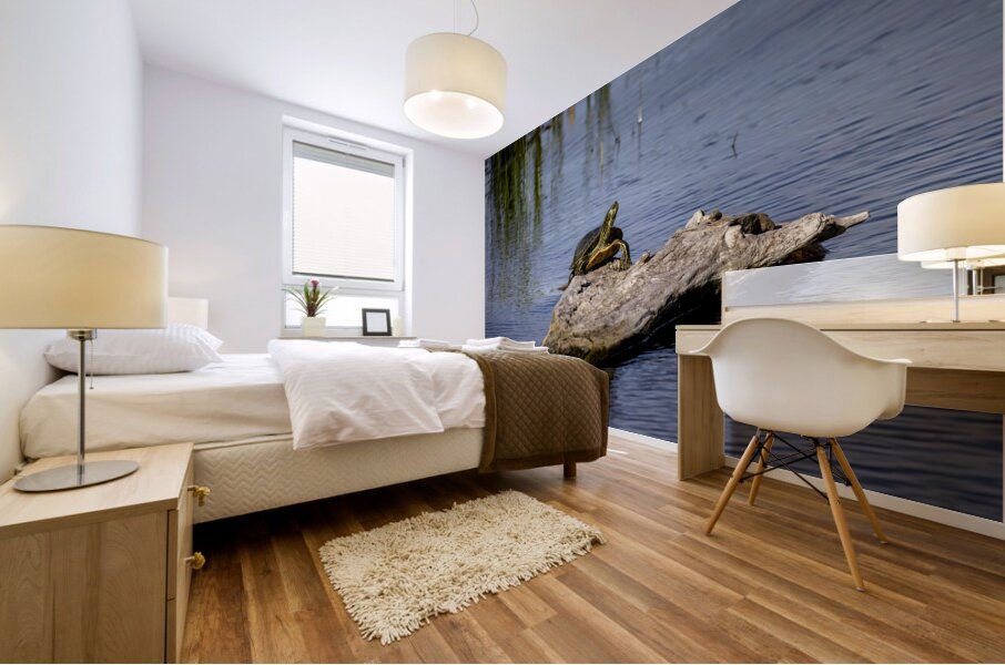 Painted Turtle Mural print