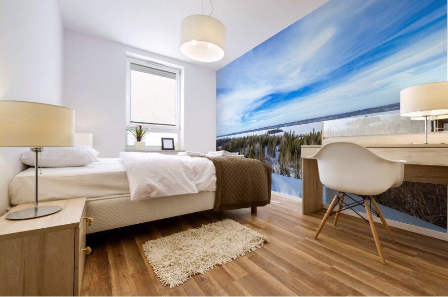 Falcon Lake View Mural print