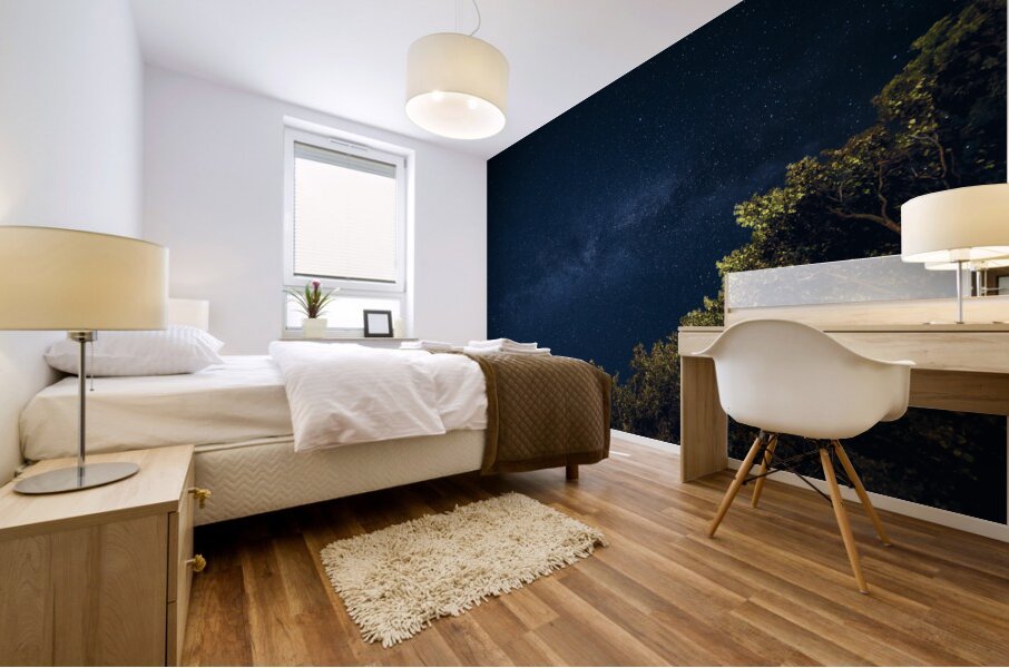 Starry Night Mural print