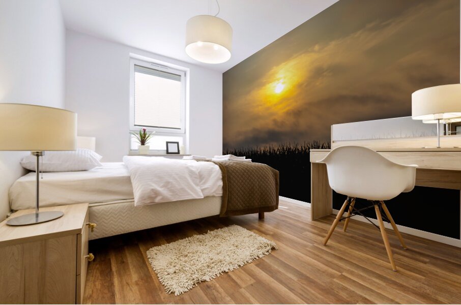 Hazy Sunrise Over Cornfield Mural print
