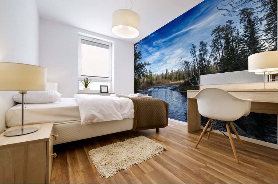 Falls at Pine Point Rapids Mural print