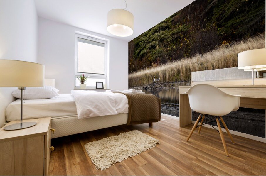 Geese Atop Beaver Hut Mural print