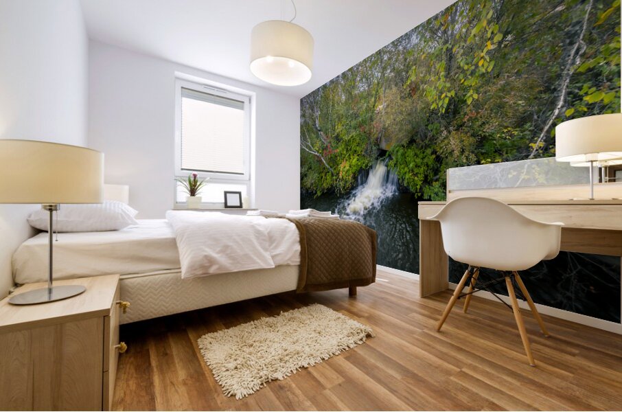 Small Falls Mural print