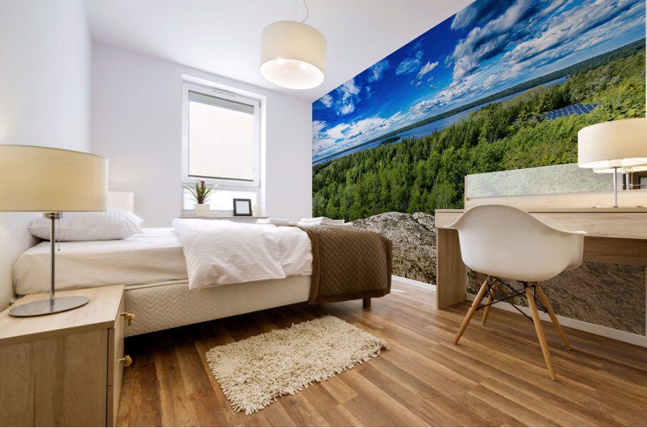 Top of the World Mural print