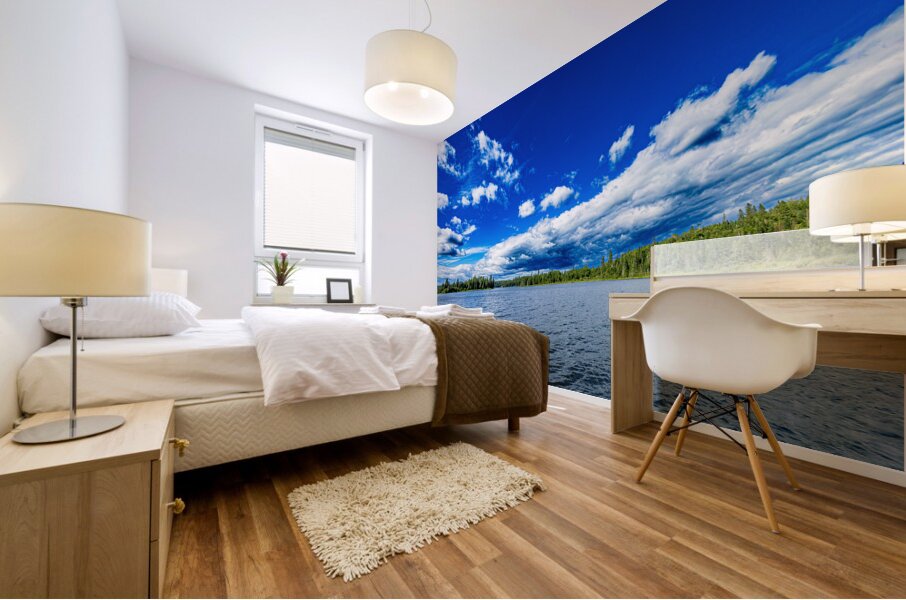 Falcon Lake Mural print