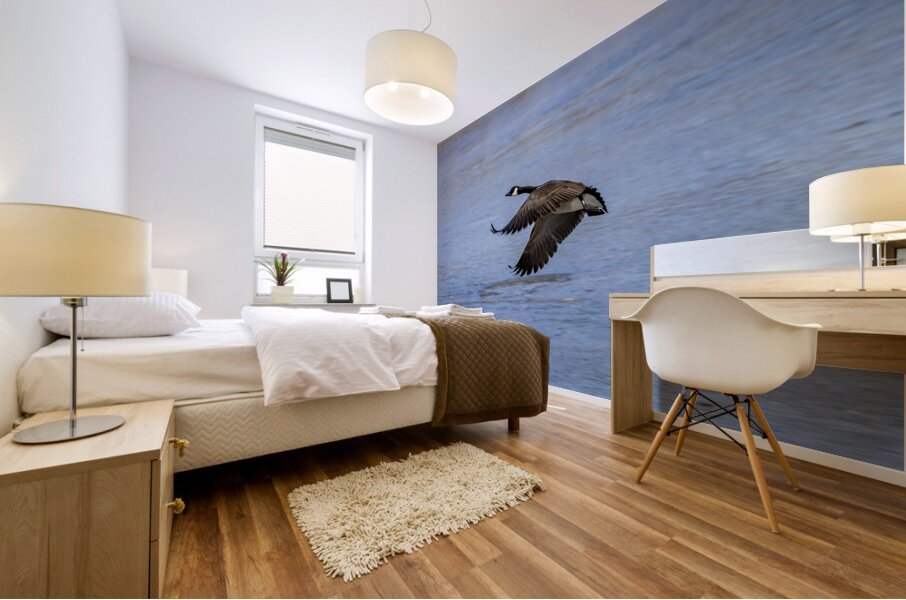 Goose in Flight Mural print