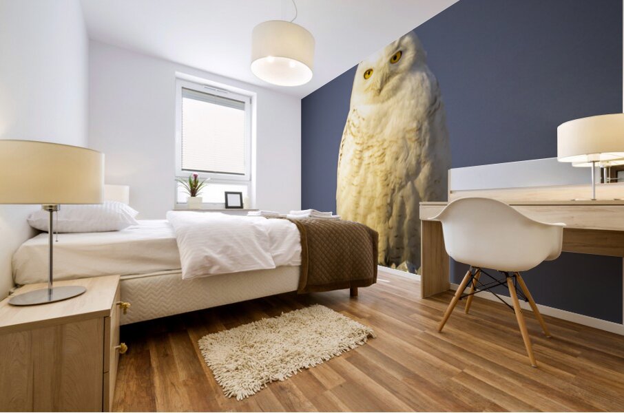 Snowy Owl in the Sun Mural print