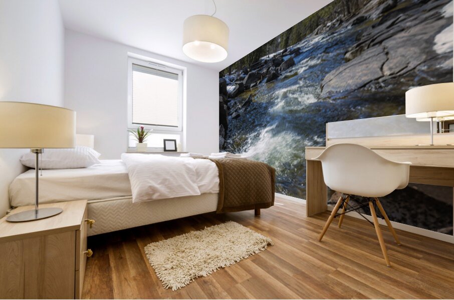 Cascading Waters Mural print