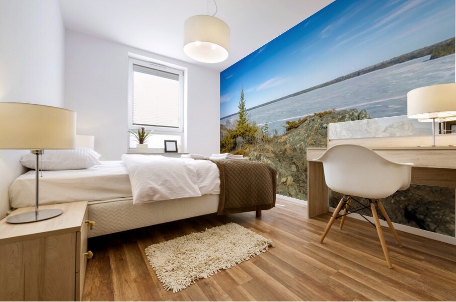 Dragon Fire Trail Mural print