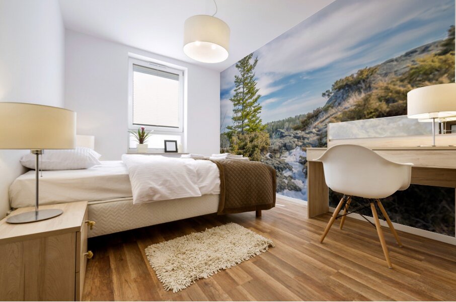 Dragon Fire Trail Mural print