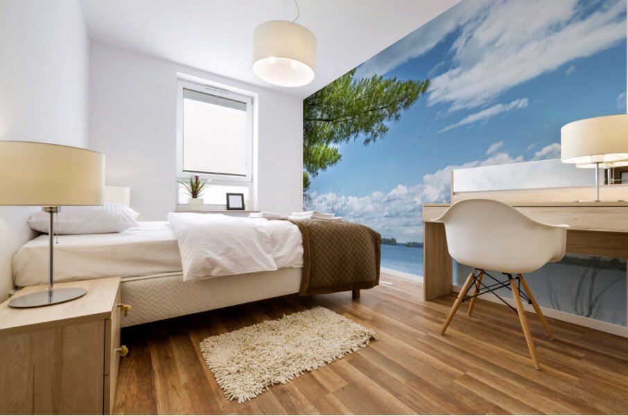 Lake of the Woods View Mural print