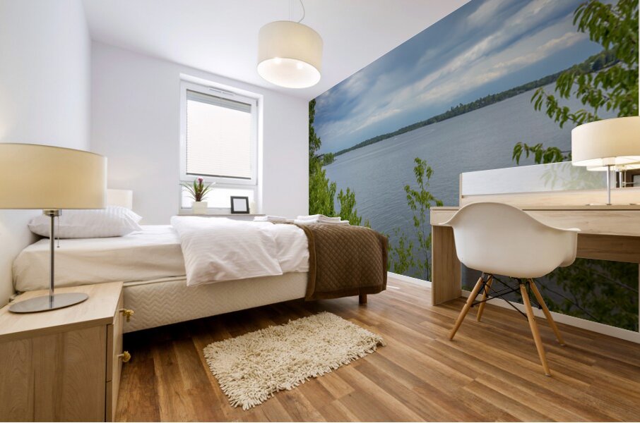 Lake of the Woods Shore Mural print