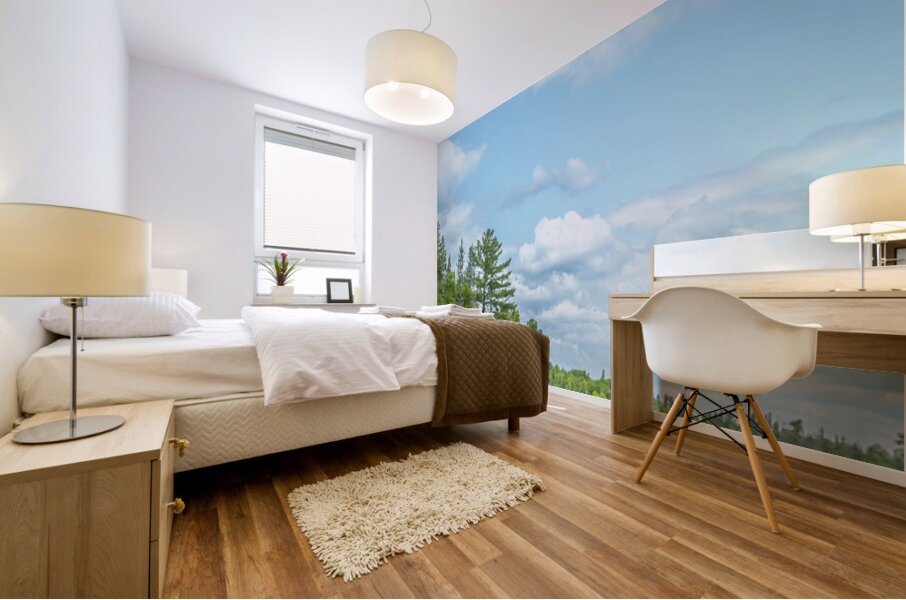 Lake of the Woods View Mural print