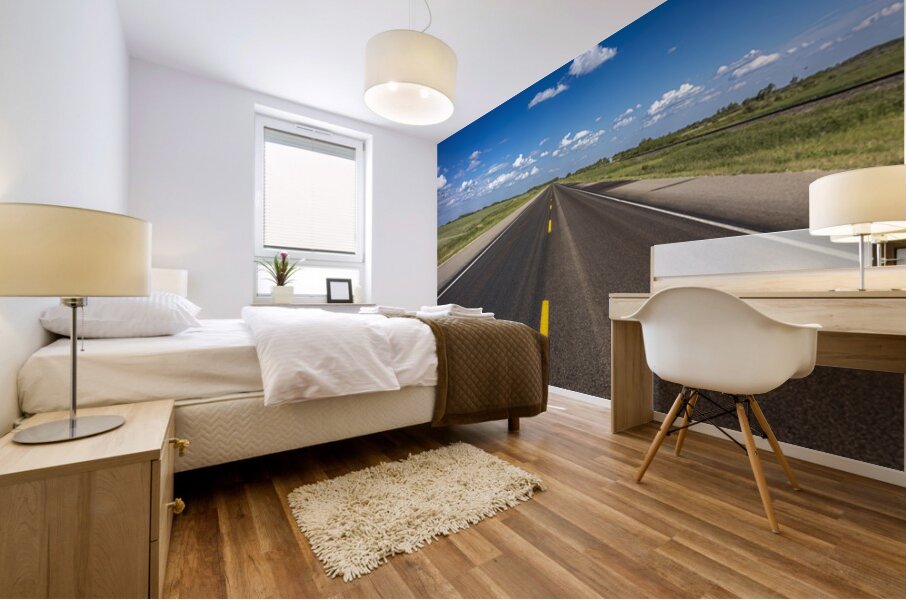 Road Freedom Mural print