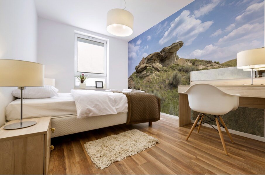 Whispers of the Badlands Mural print