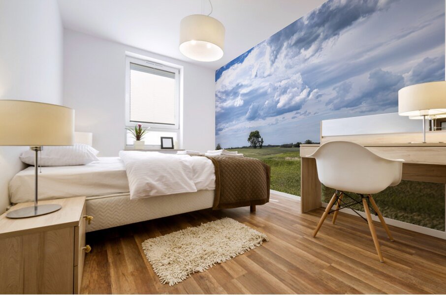 Lone Tree and Cloudy Sky Mural print