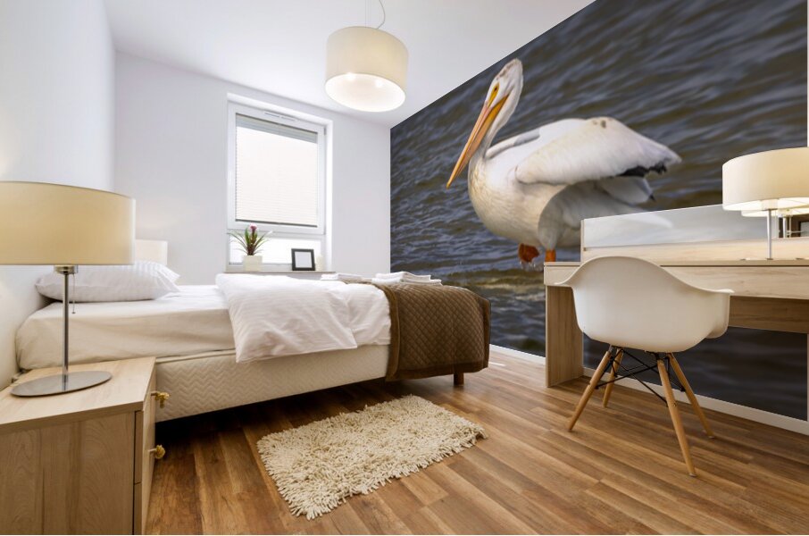 Pelican Contemplation Mural print