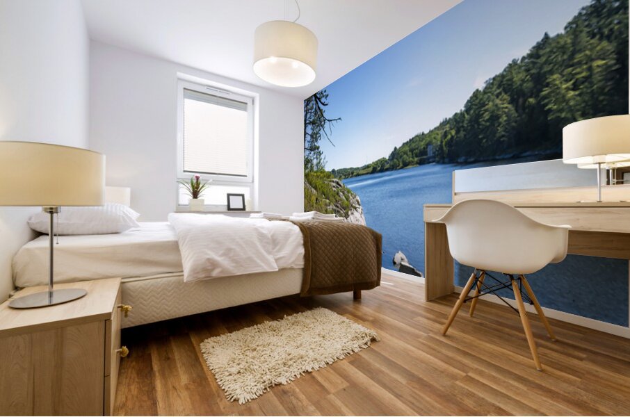 Tunnel Island Trail Mural print