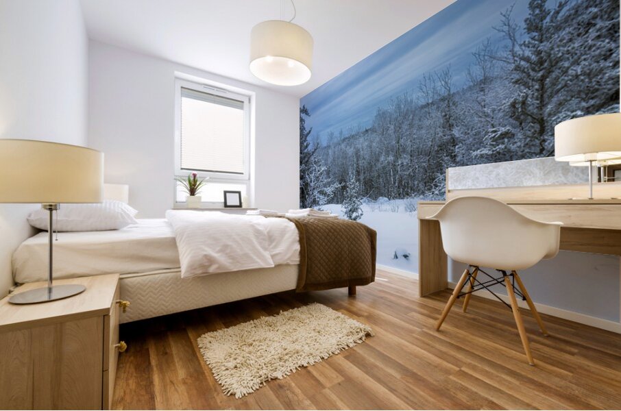 Whiteshell Winter Calm Mural print