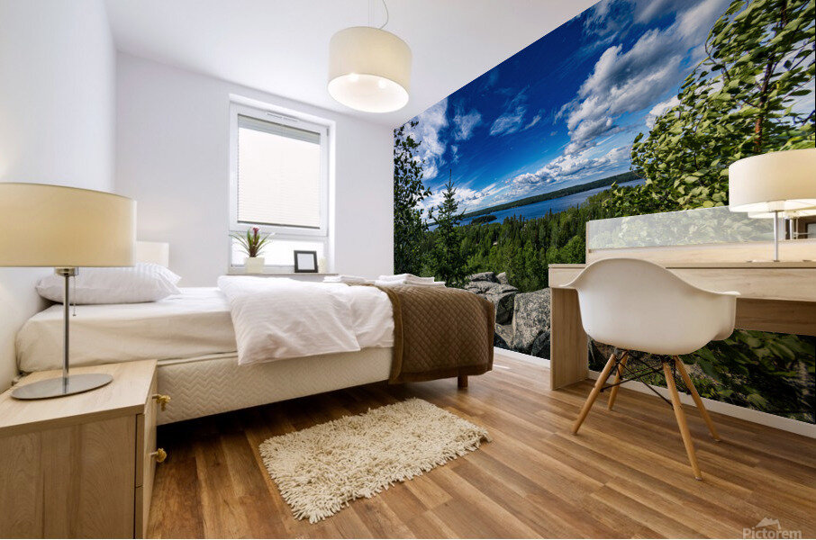 Top of the World Trail at Falcon Lake Mural print