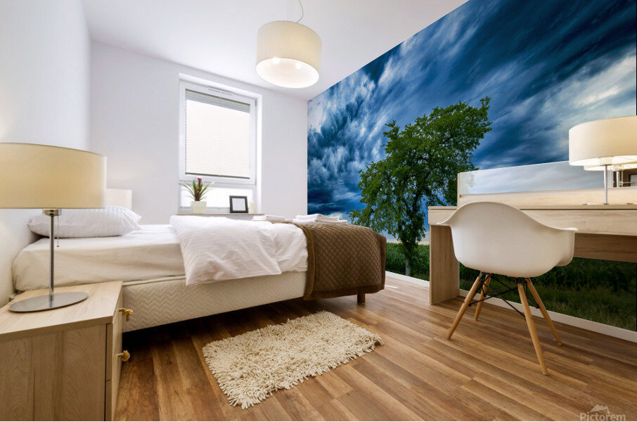 Lone Tree After the Storm Mural print