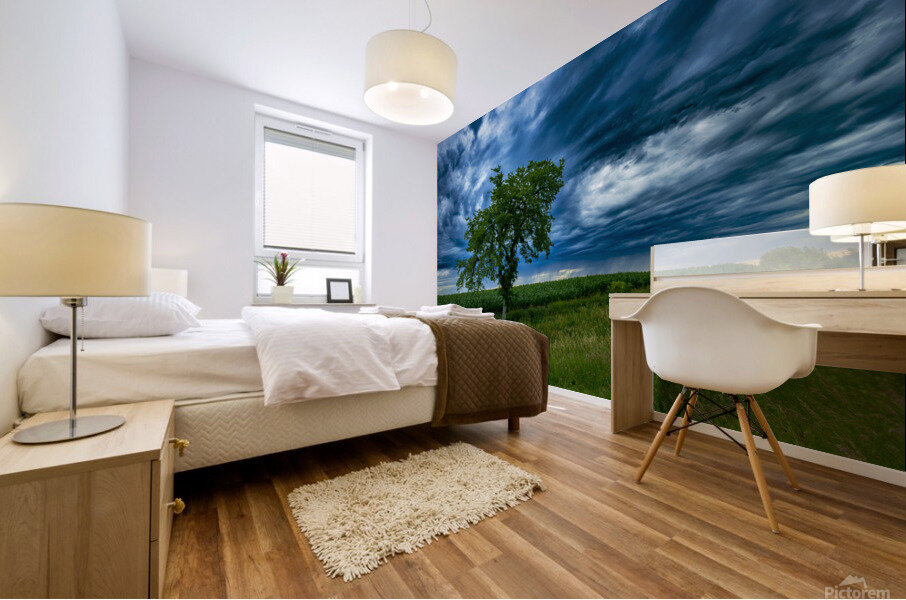 Lone Tree After the Storm Mural print
