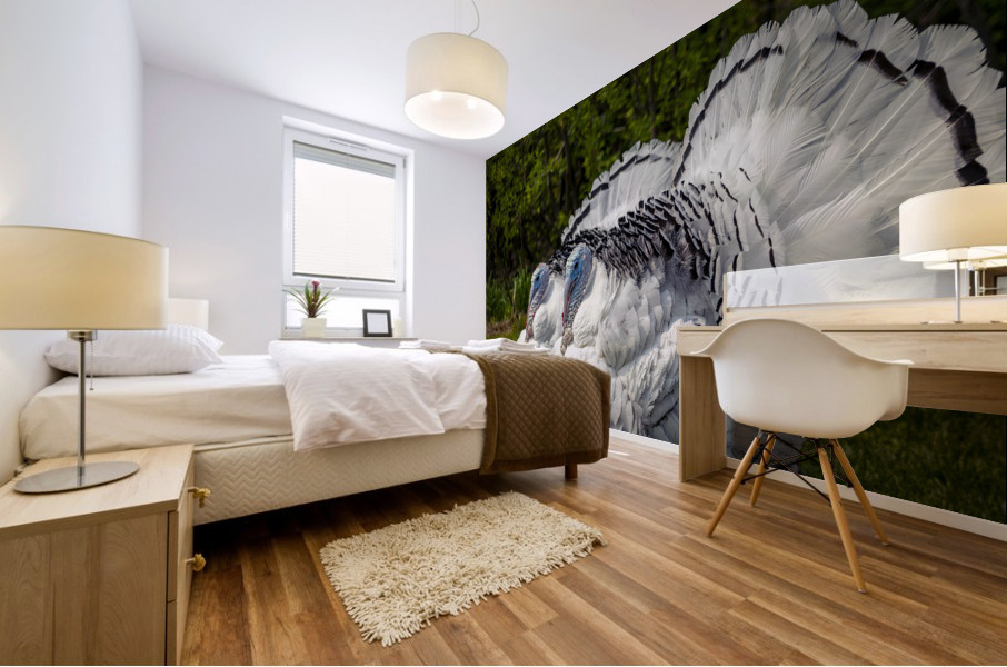 Turkeys Mural print